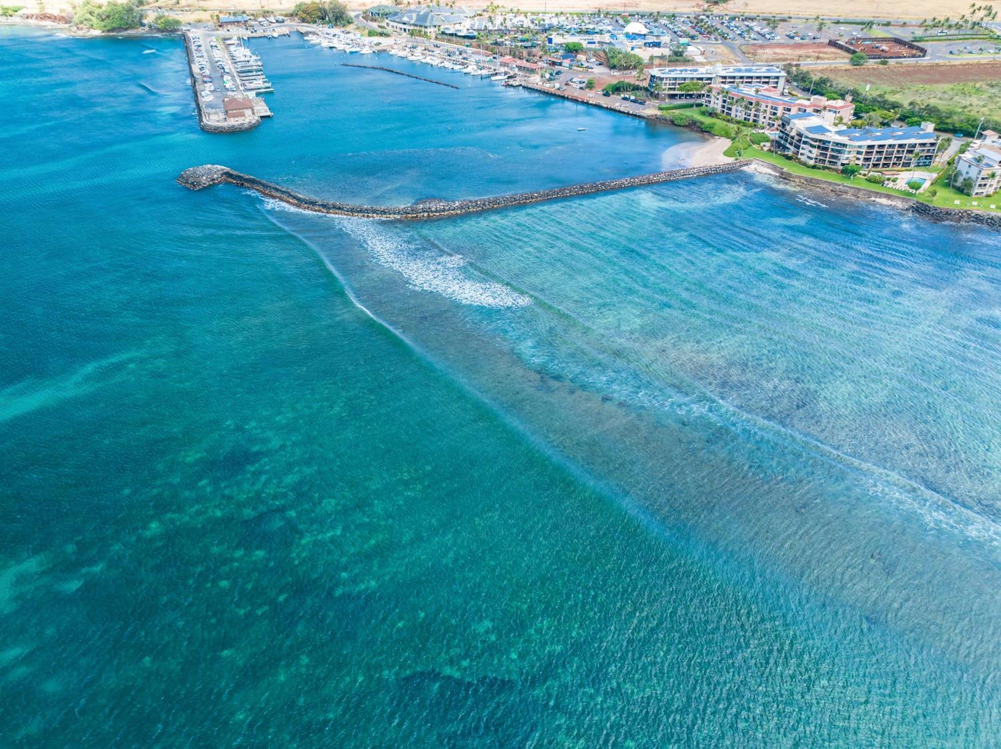 106 Milowai Wailuku Extérieur photo